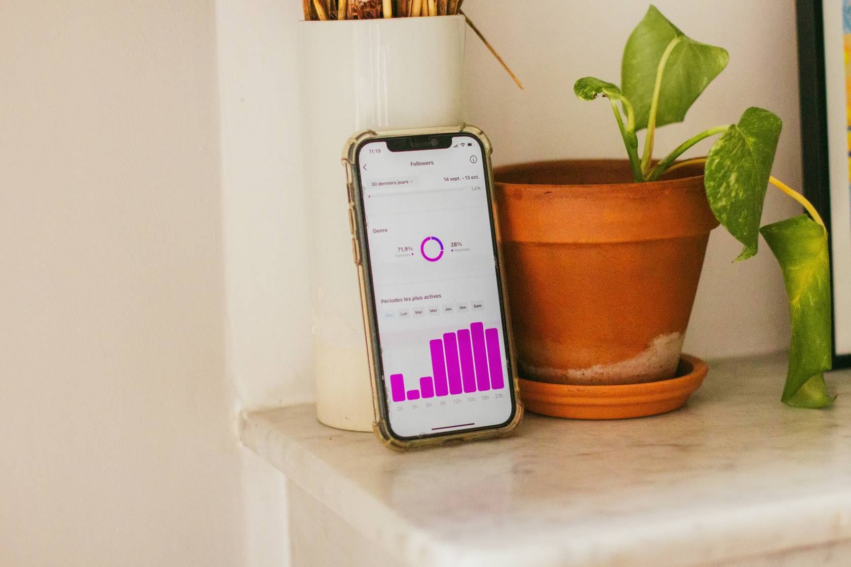 Smartphone with a TikTok analytics dashboard displaying follower demographics, growth percentages, and active periods, alongside a houseplant and a clock showing the time as 11:19.